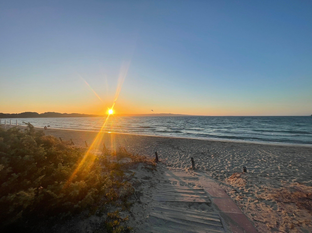 Spiaggia delle Saline-Calasetta必去景点