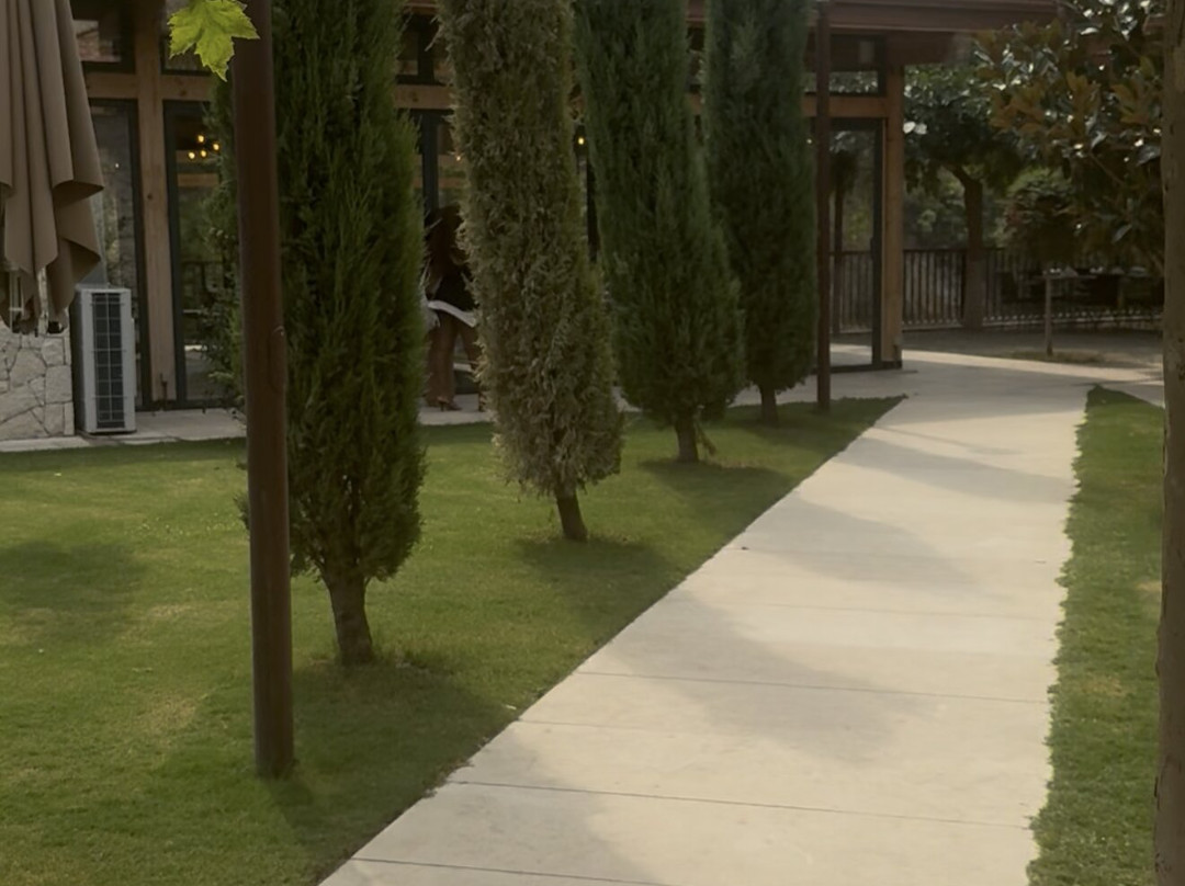 Duka Winery & Vineyard-杜勒斯必去景点