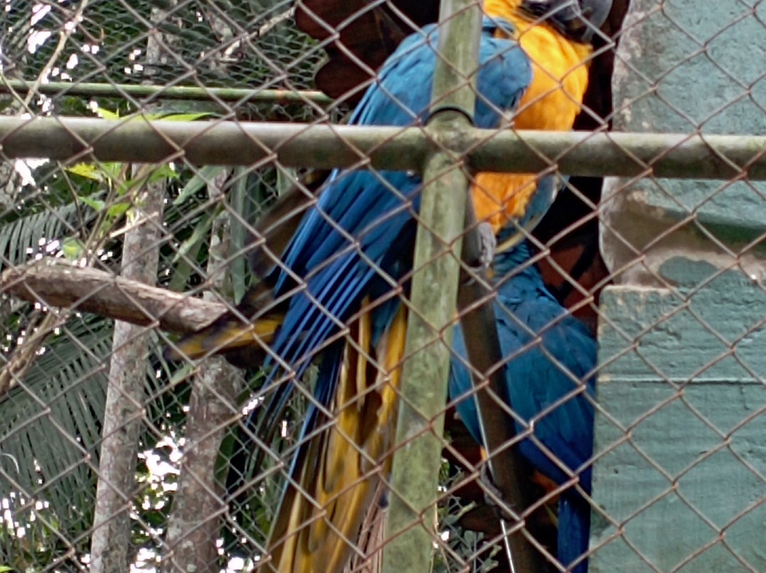 Parque Zoobotanico de Brusque-Brusque必去景点