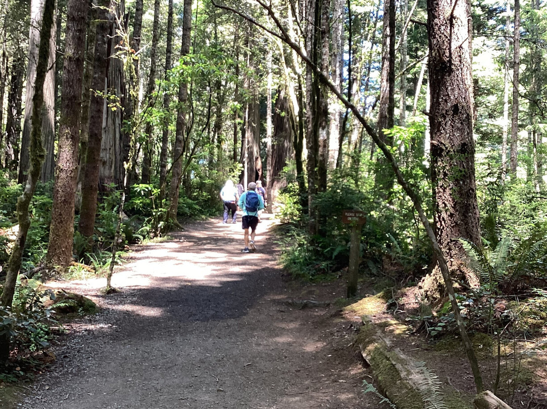红杉树国家公园-红木国家公园必去景点