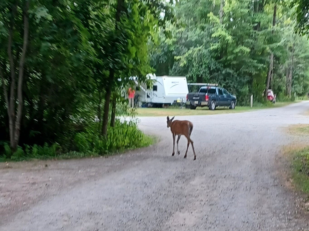 Fitzroy Provincial Park-Fitzroy Harbour必去景点