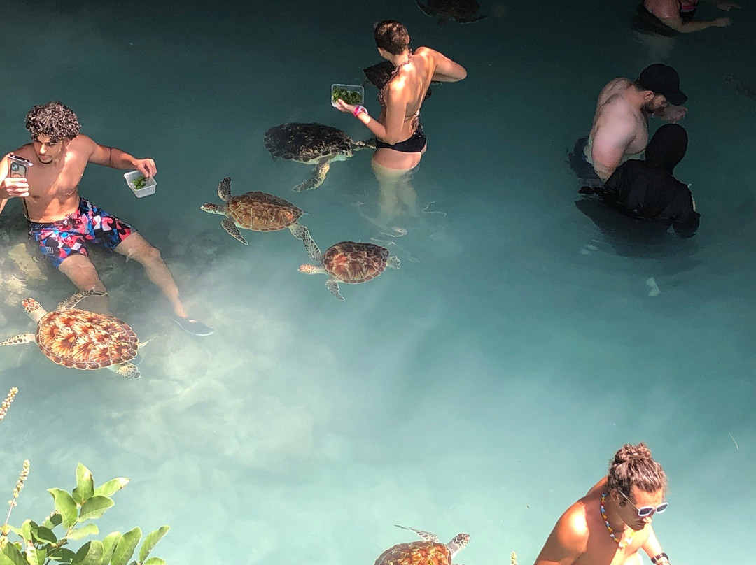 Salaam Cave Aquarium-Kizimkazi Dimbani必去景点