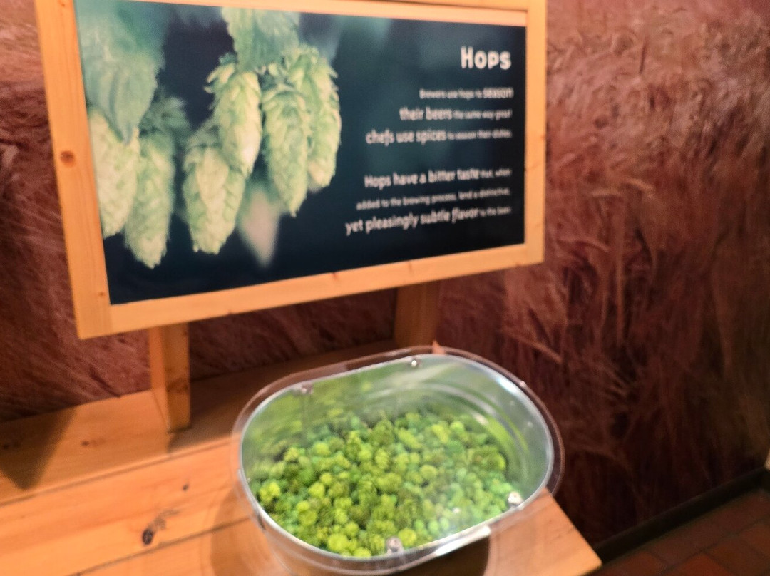 Coors Brewery-戈尔登必去景点