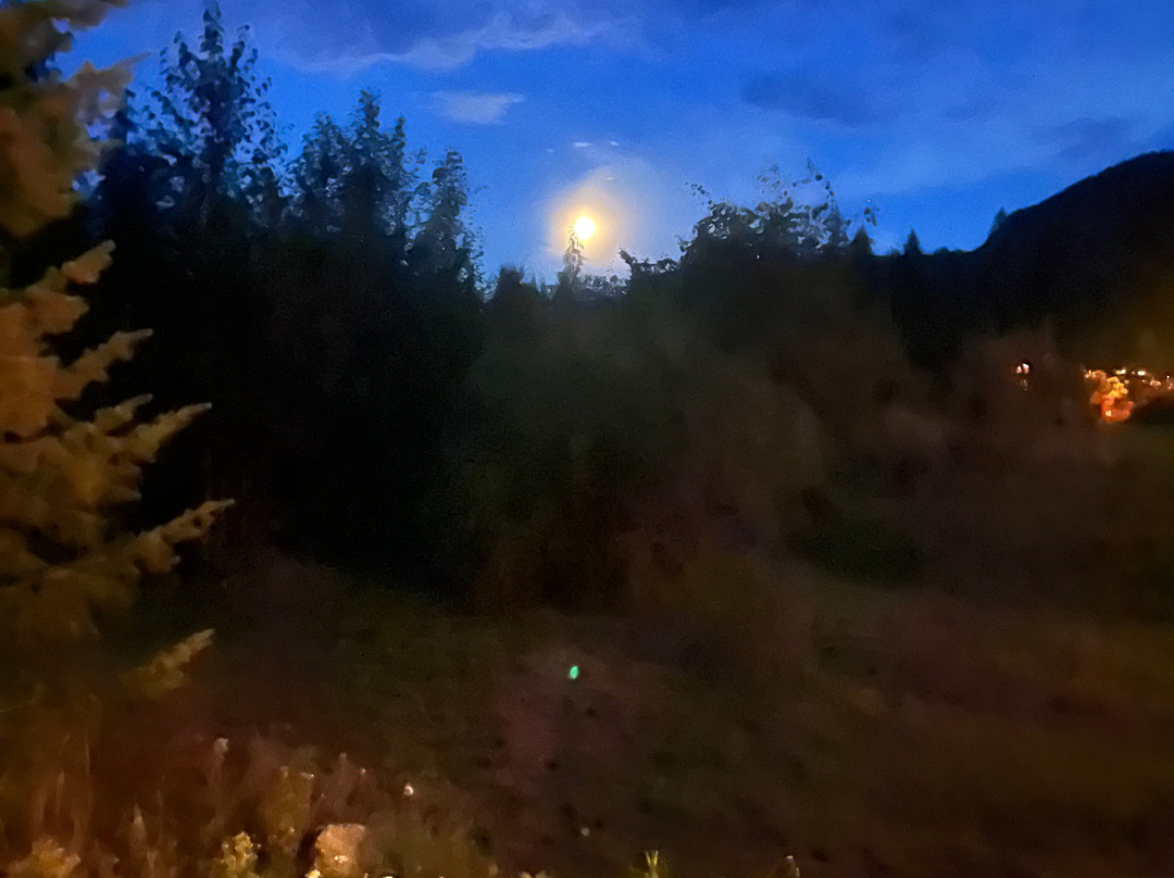 Wing Creek Resort主图