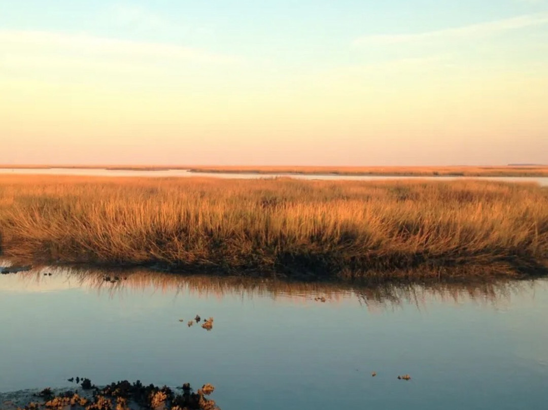 Tall Tide Fishing Adventures-查尔斯顿必去景点