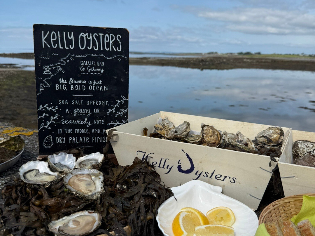 Kelly Oysters-Kilcolgan必去景点