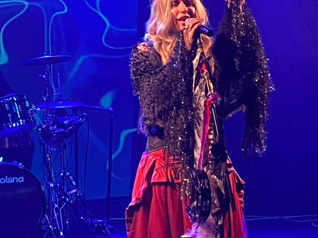 Classic Rock Icons-布兰森必去景点