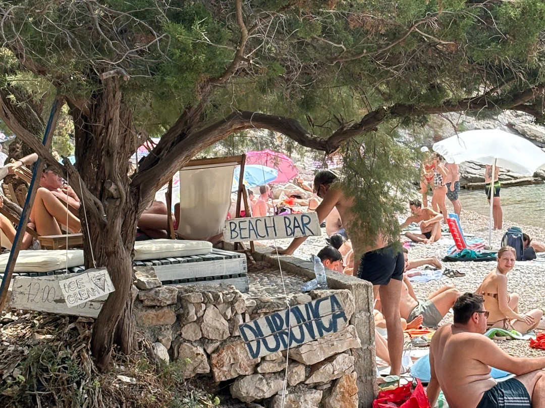 Dubovica Beach-Zarace必去景点
