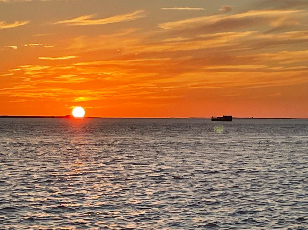 Paradise Dolphin Cruises-Wanchese必去景点