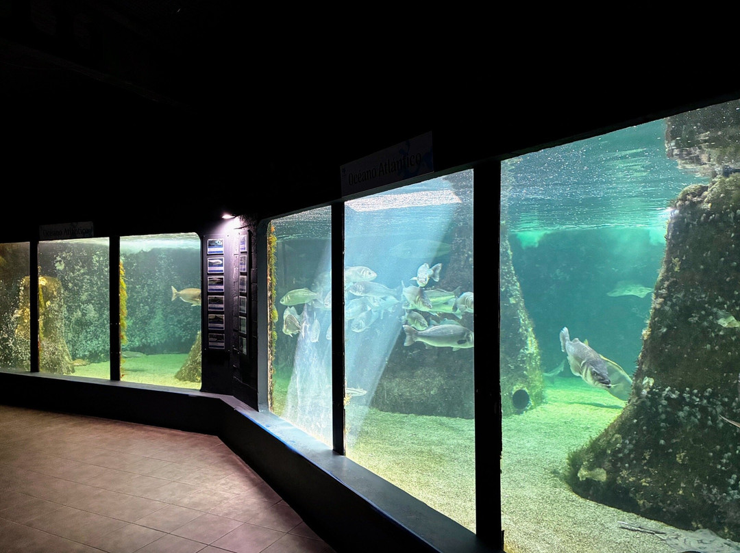 Acuario Do Grove-格罗韦必去景点