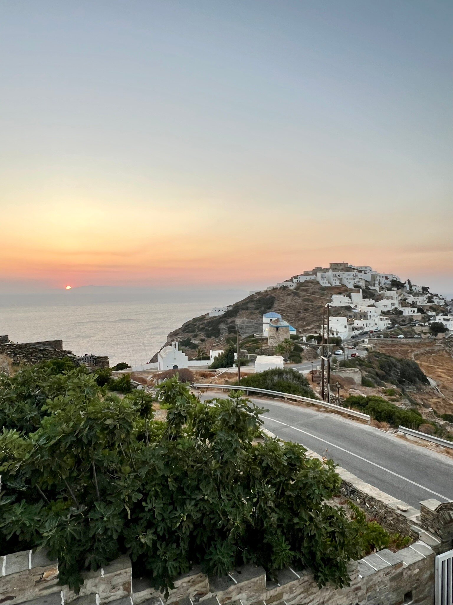 Agnanti Traditional-官方