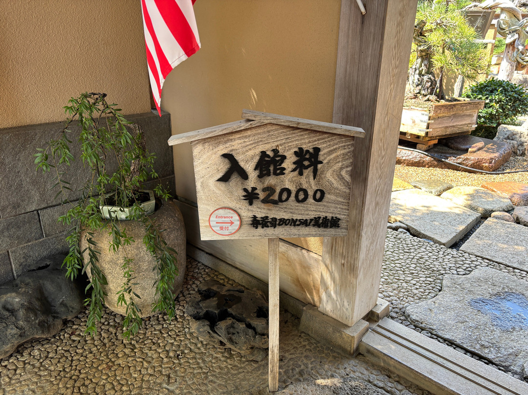 春花园 BONSAI 美术馆-江戸川区必去景点