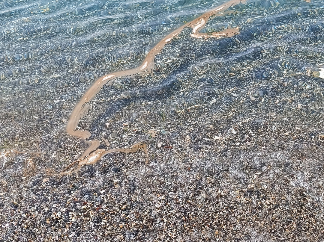 Kalamata Beach-卡拉马塔必去景点