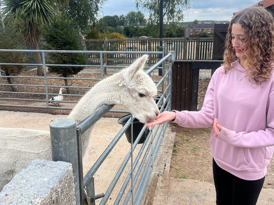 Willow Tree Family Farm-Shirebrook必去景点