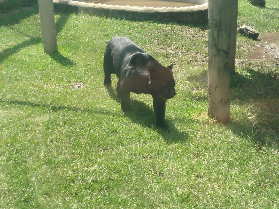 Zoo Parque Loro Puebla-普埃布拉必去景点
