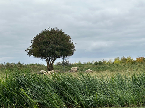 Spalding Water Taxi-Spalding必去景点