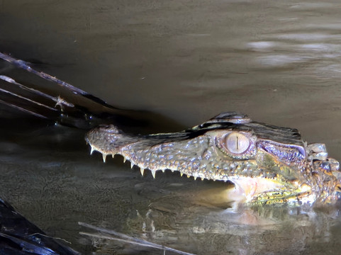 Machu Picchu Magico-库斯科必去景点