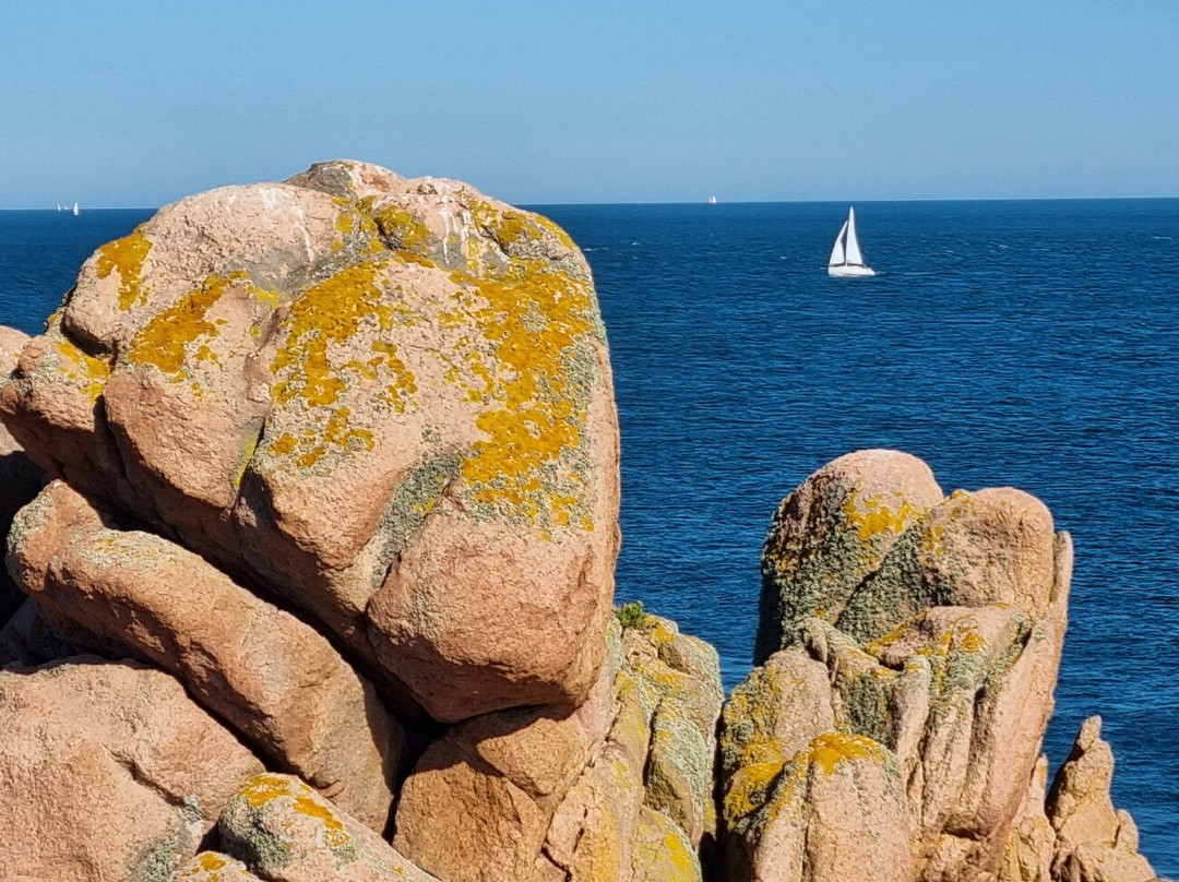 Le Phare du Paon-Ile-de-Brehat必去景点