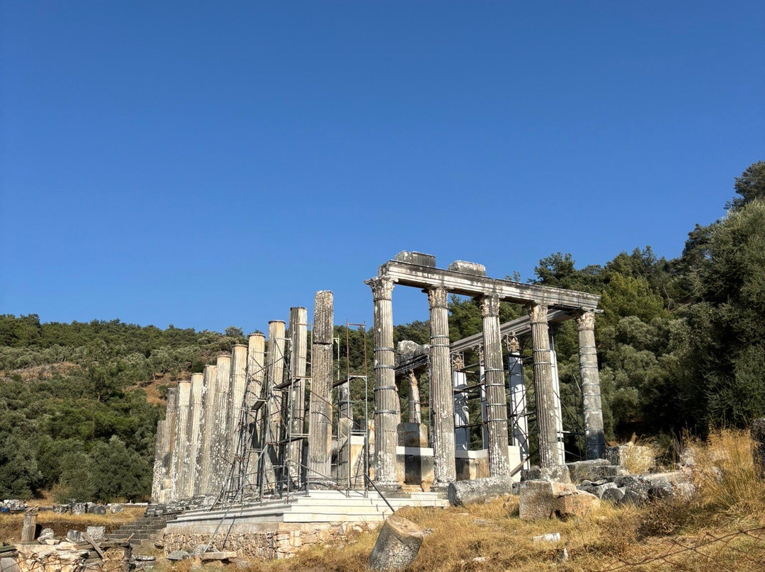 Euromos Ruins-Milas必去景点
