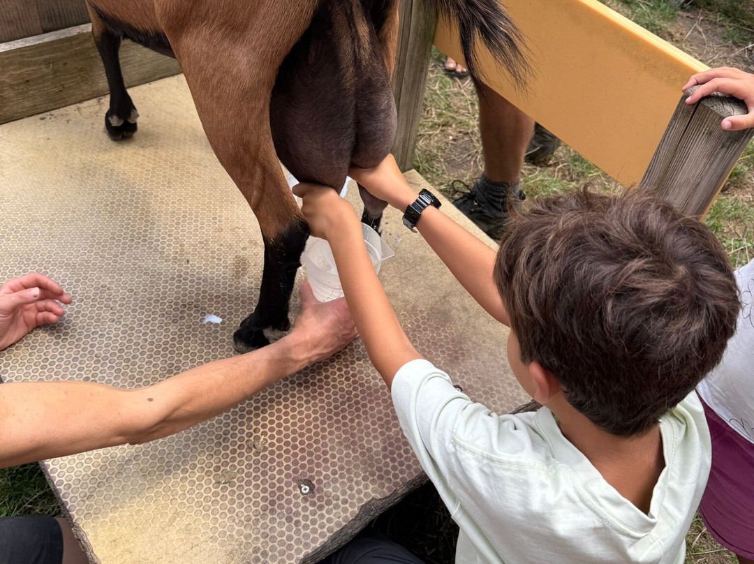 La Cañabla-Broto必去景点