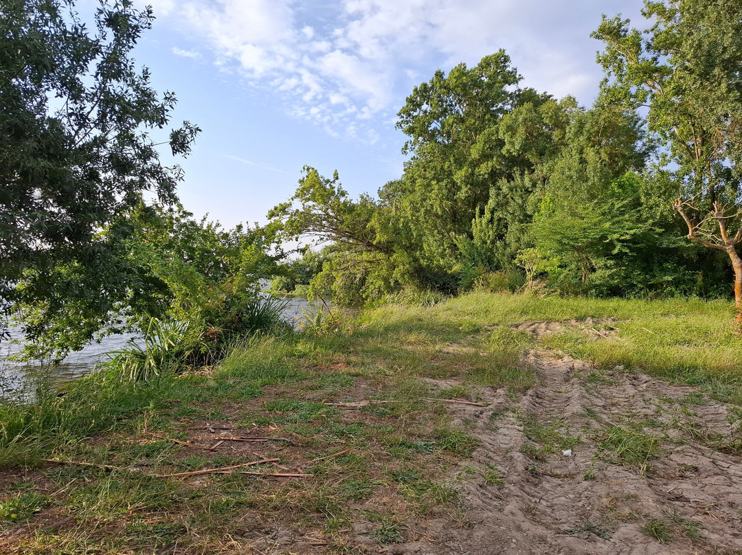 Bico Da Govia-Salvaterra de Magos必去景点