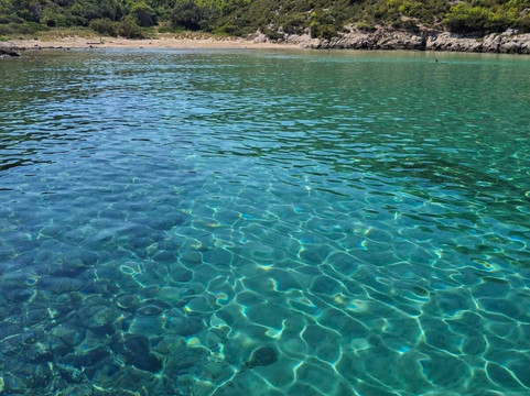 Nemo - Vis-维斯必去景点