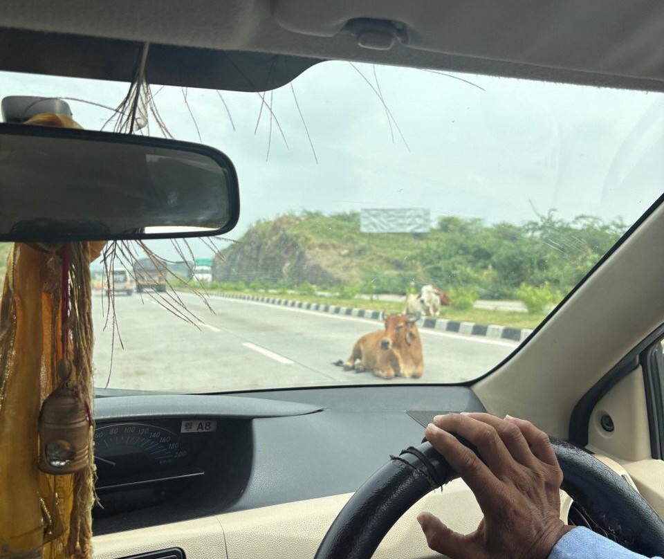 The Tiger Tours-瑟瓦伊马托布尔必去景点