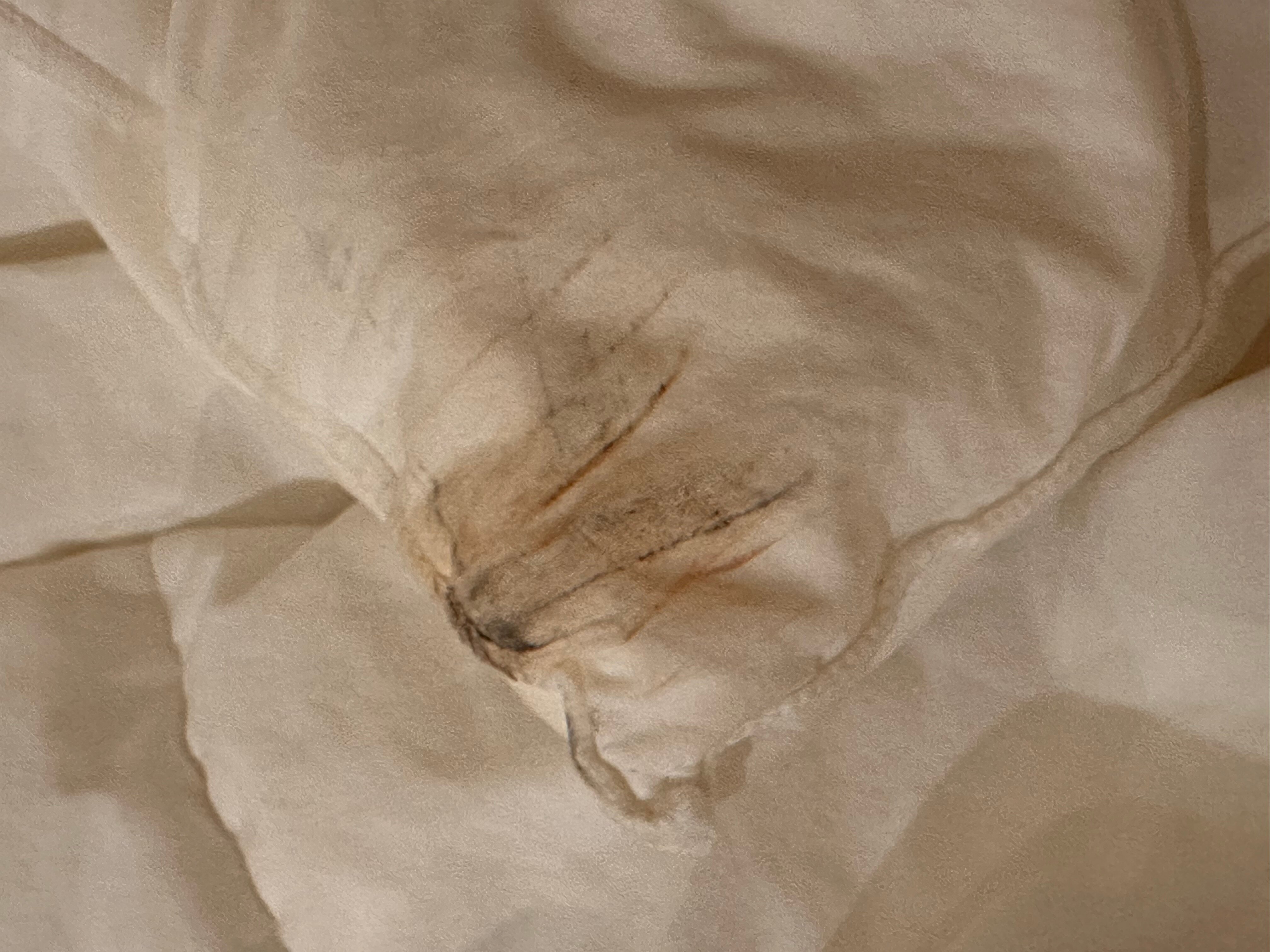 卢瑟里奥温泉酒店-客卧