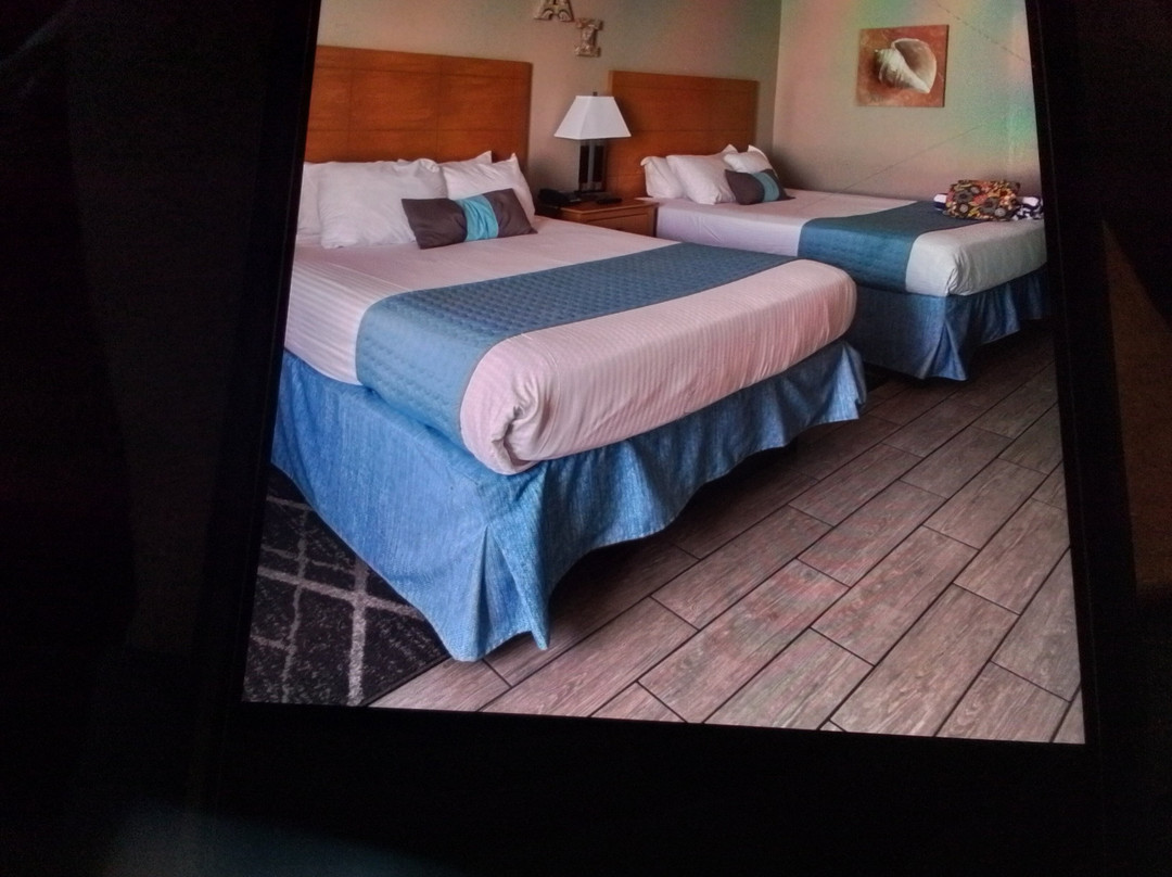 Beachside Motel主图