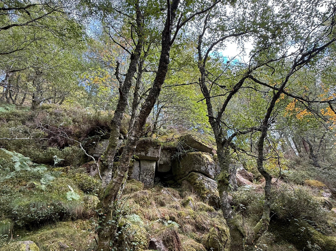 Bennachie Hill Walks-阿伯丁必去景点