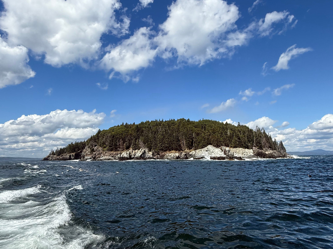 Acadian Boat Tours-巴港必去景点