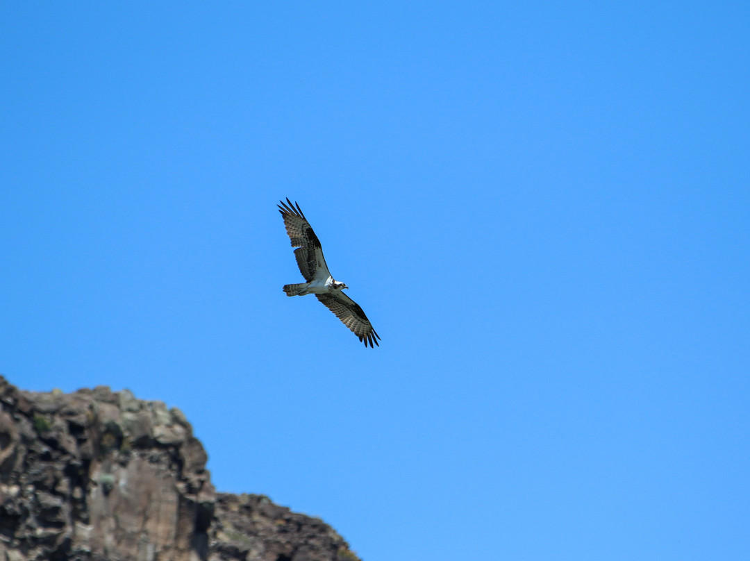 Gear Up Maupin E-bike Rentals-Maupin必去景点