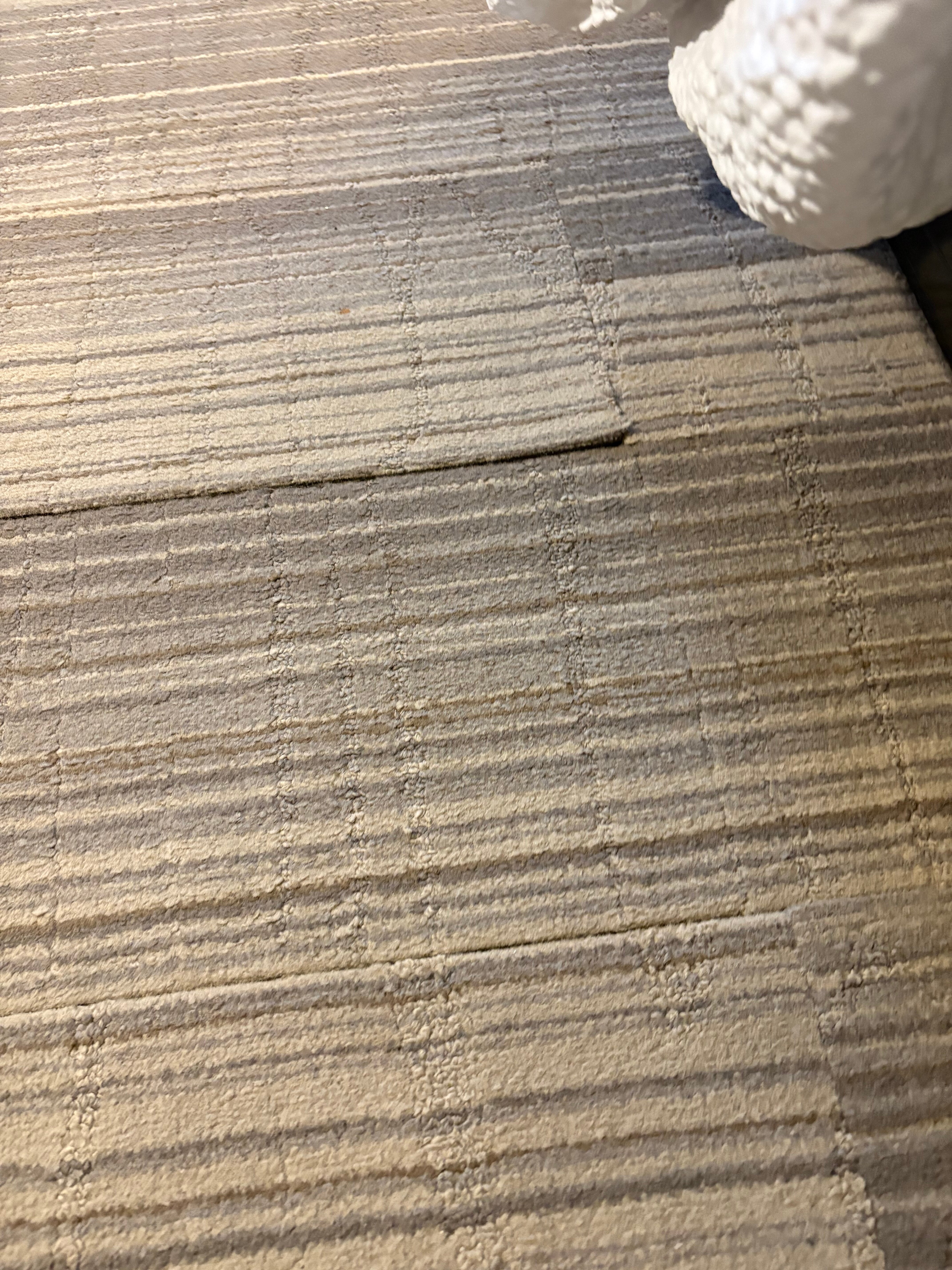 奥利安希尔顿恒庭酒店-客卧