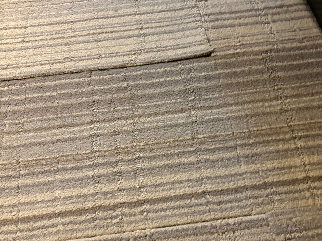 奥利安希尔顿恒庭酒店主图