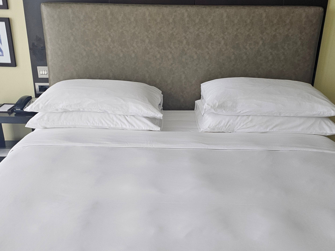 凯宾斯基吉力马扎罗酒店主图