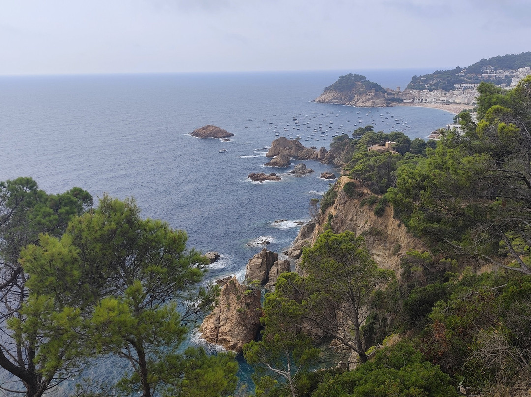 Cala Bona-多萨德马尔必去景点
