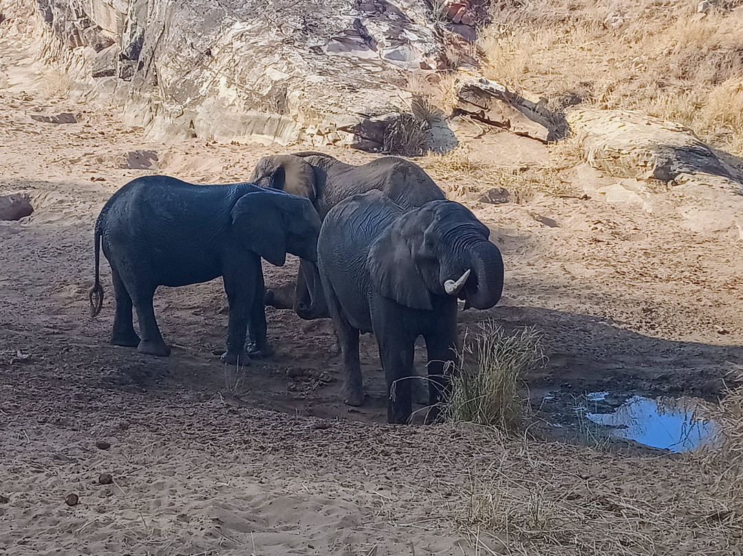 Dél-afrika-mozambik-尼斯普鲁特必去景点