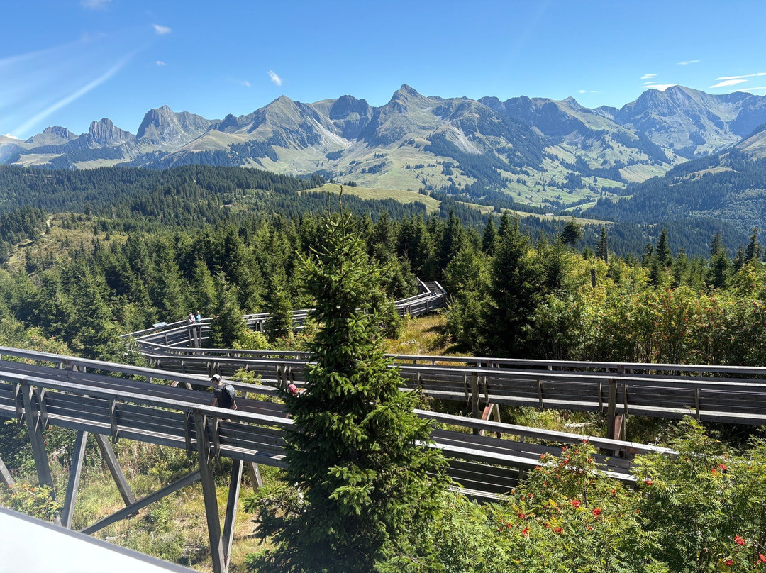 Naturpark Gantrisch-Schwarzenburg必去景点