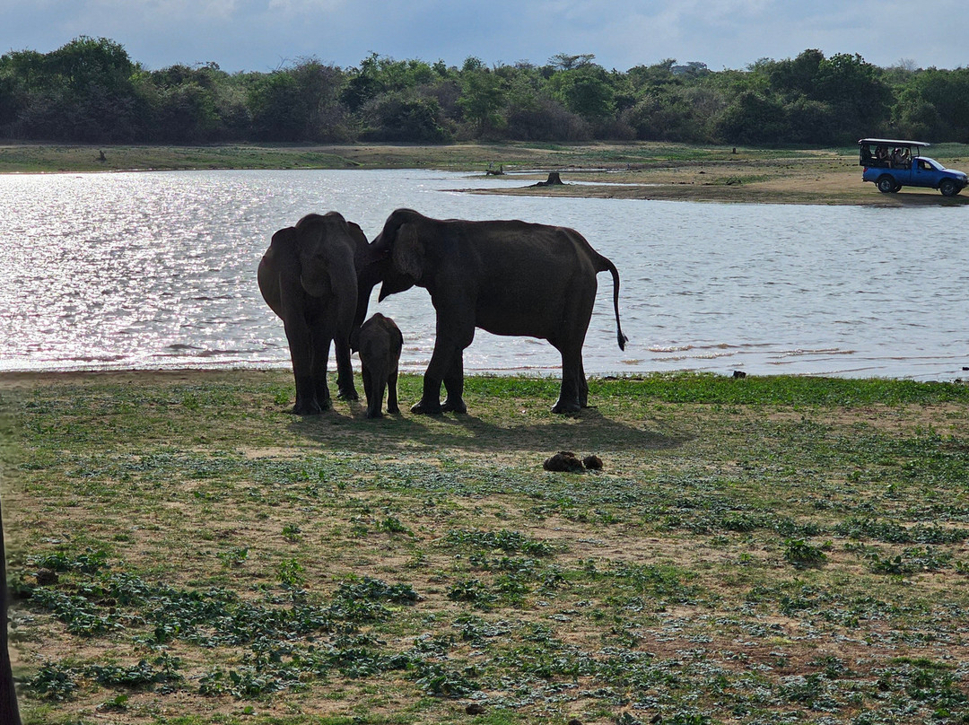 Travel Now Sri Lanka-科伦坡必去景点