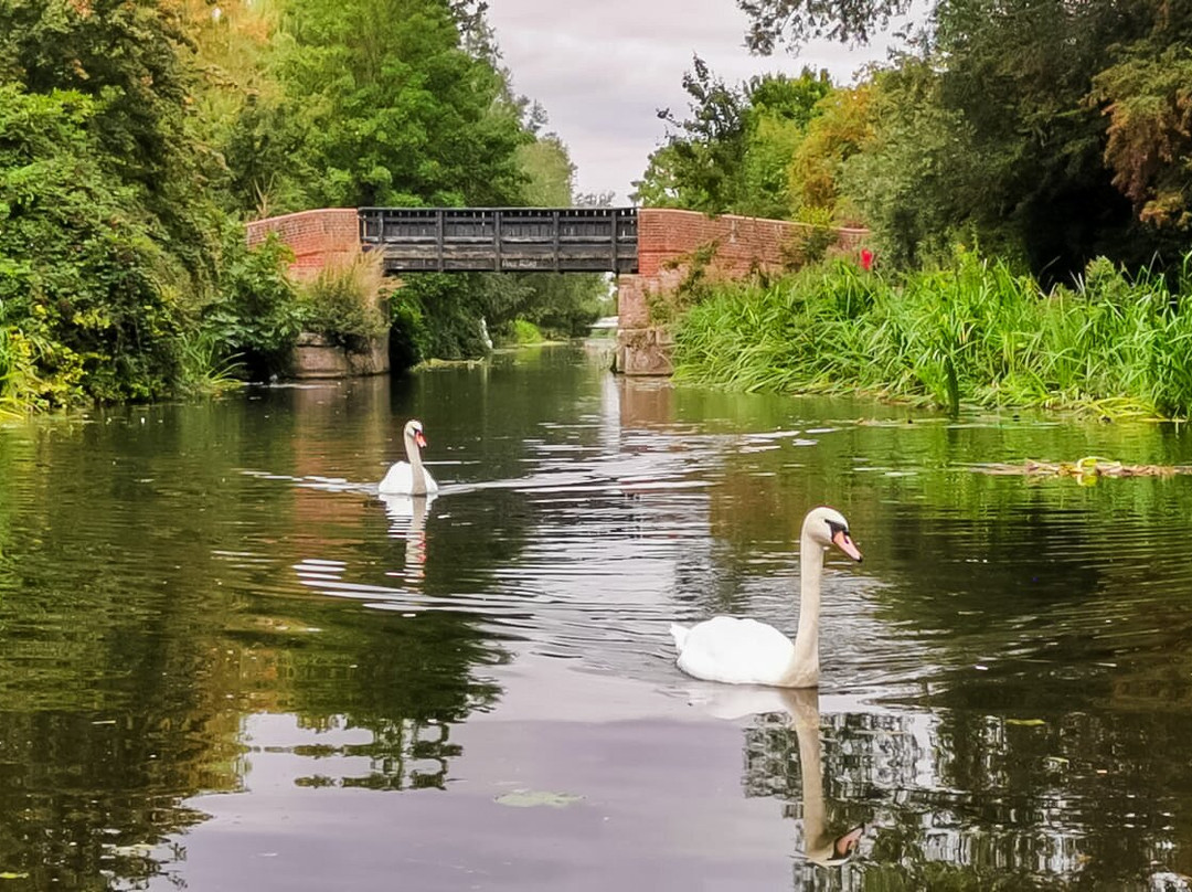 Chelmer Cruises - Heybridge Basin-Heybridge必去景点