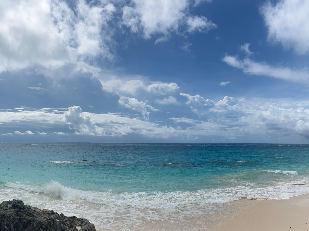 百慕大可可礁酒店主图