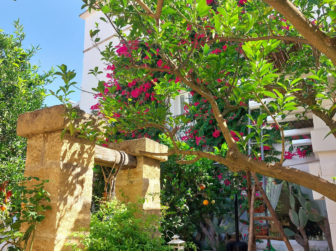 Masseria Messapia Wine Resort & Spa主图