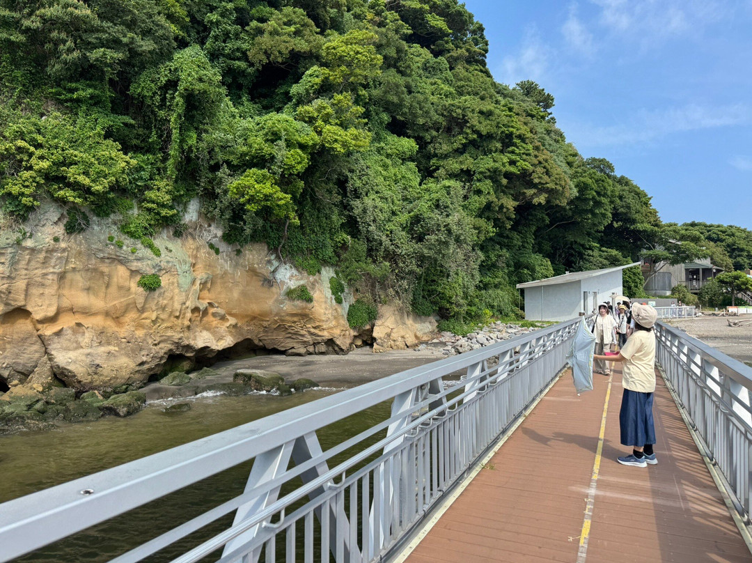 Sarushima Island (Monkey Island)-Saru-jima必去景点