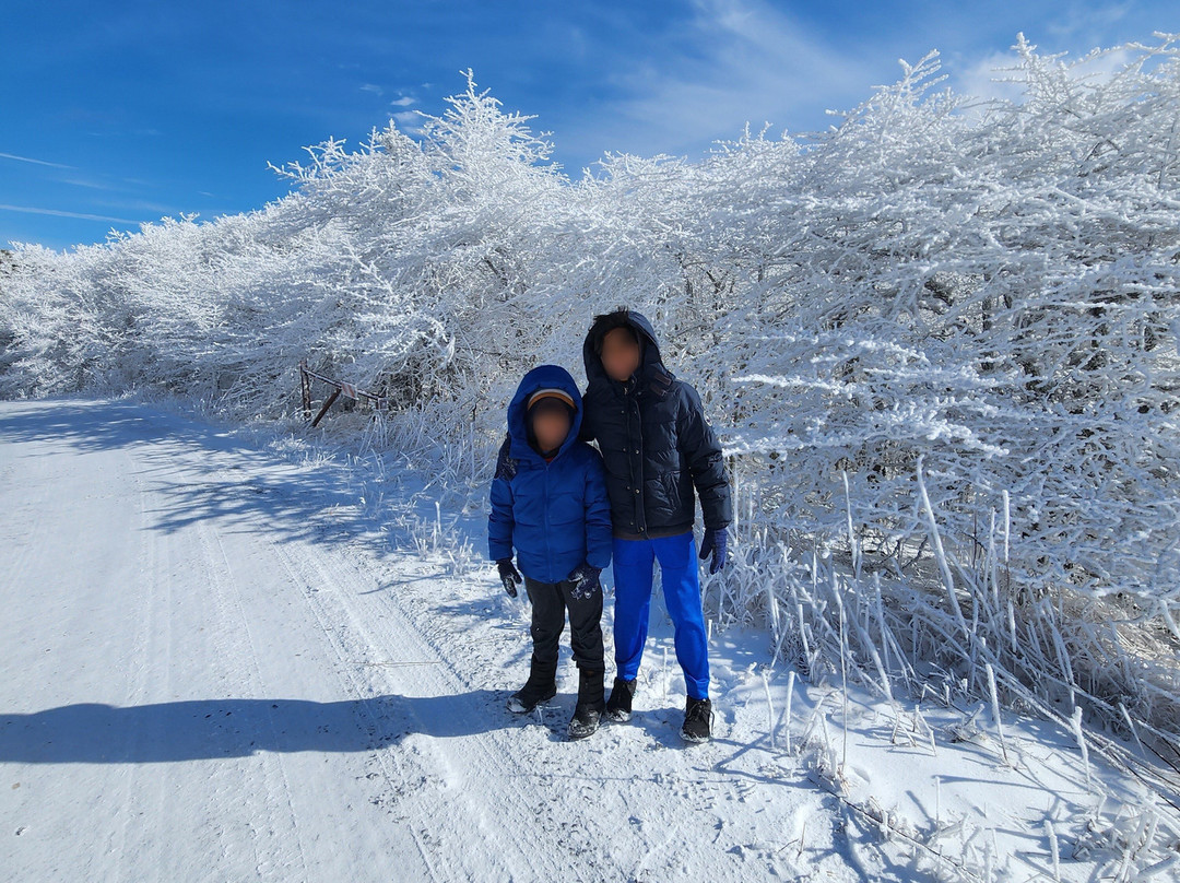 Whitetop Mountain-Mouth of Wilson必去景点