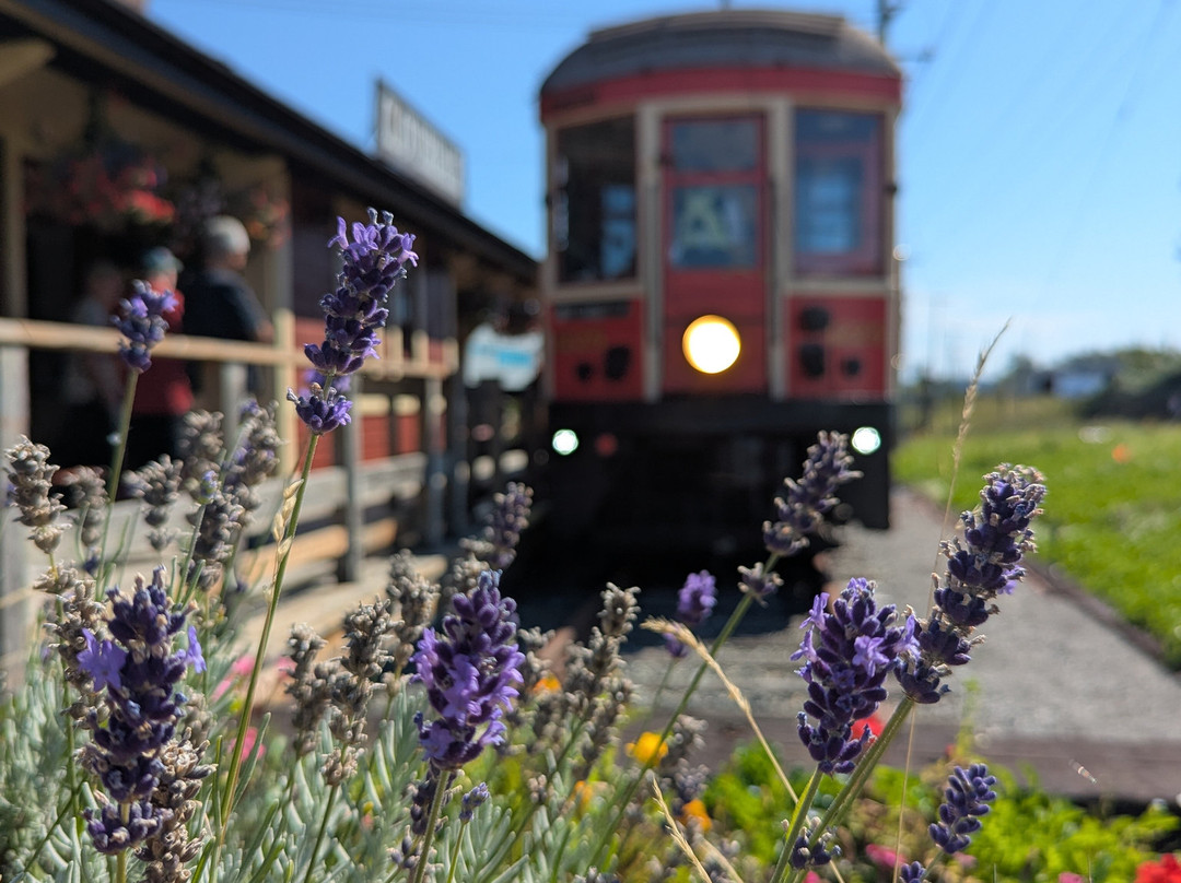 Fraser Valley Heritage Railway-素里必去景点
