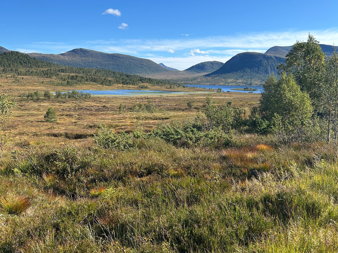 Pille Mitt - Yoga & Hiking-莫尔德必去景点