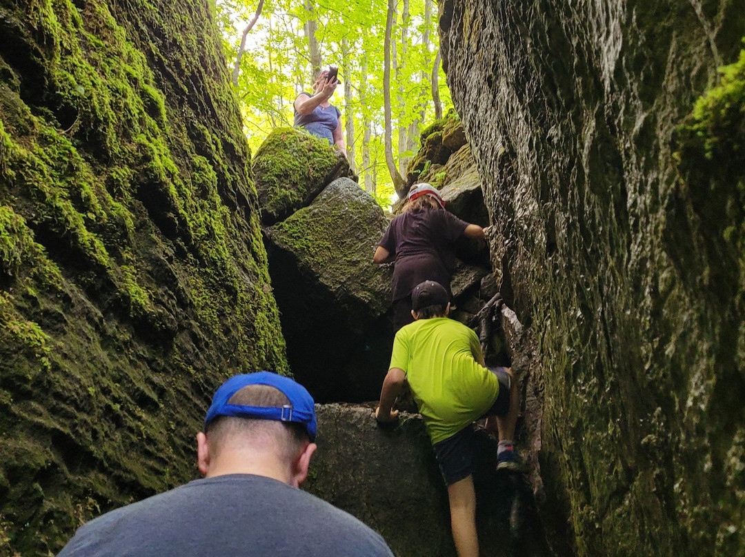 Step it Up Adventures-科林伍德必去景点