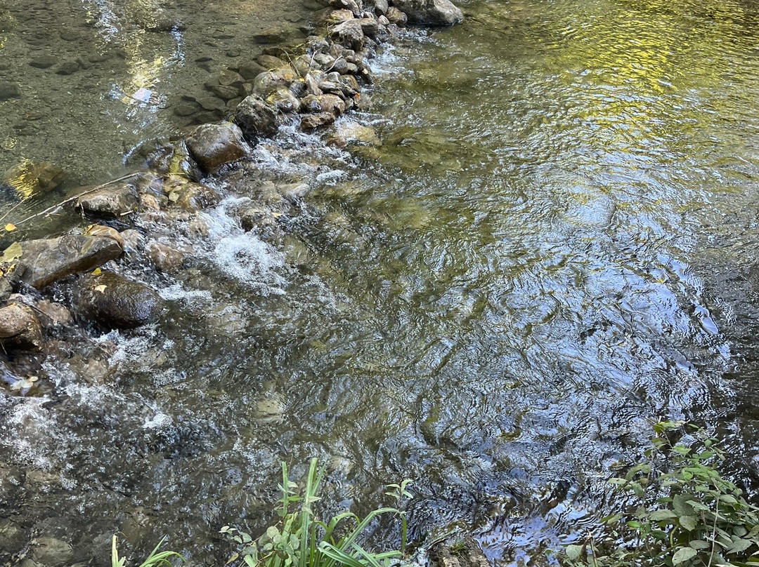 Sendero Rio Majaceite-El Bosque必去景点