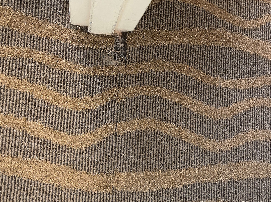 Homewood Suites by Hilton Philadelphia-Valley Forge主图