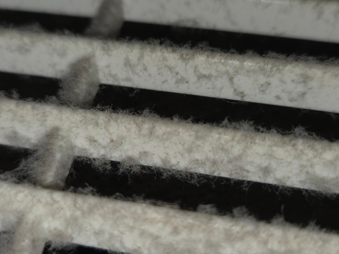 Juara Beach Resort主图